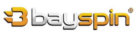 ☑️BAYSPİN Logo